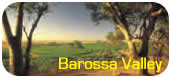 Barossa Valley activities