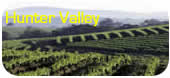 Activities and Tours in the Hunter Valley