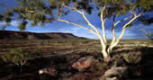 West MacDonnell National Park