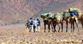 Flinders Ranges SA