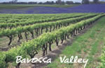 Barossa Valley