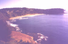 Bungan Beach