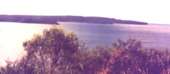 Looking North from West Head