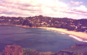 Whale Beach