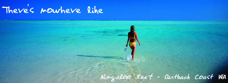 Ningaloo Reef - Western Australia