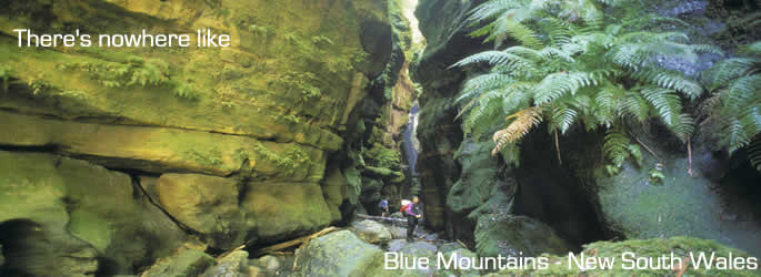 Blue Mountains New South Wales