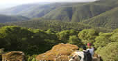 Barrington Tops National Park