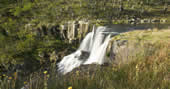 Oxley Wild Rivers national Park