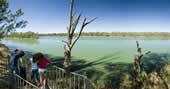 Echuca Regional Park