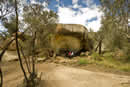 Wave Rock - WA