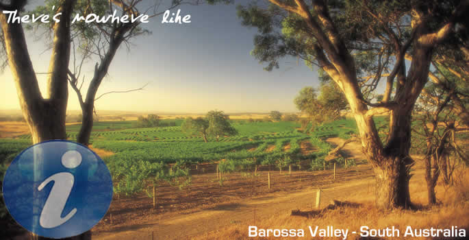 Barossa Valley - South Australia