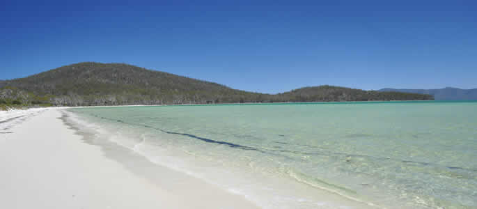 Bass Straigt Islands - Tasmania