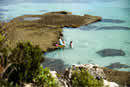 Rottnest Island - WA