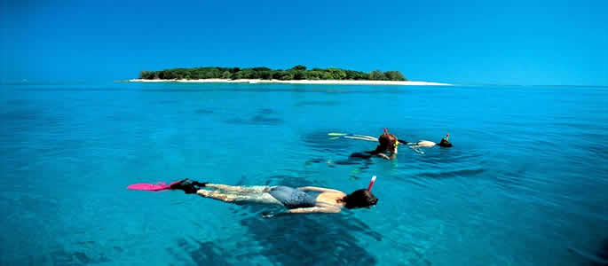 Lady Musgrave Island - Whitsundays Queensland