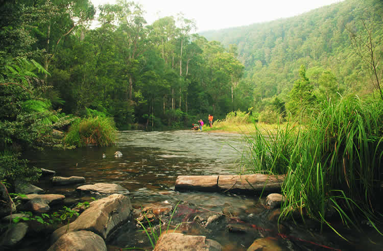 Whalla Gold Panning