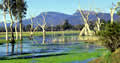 The Grampians - Victoria