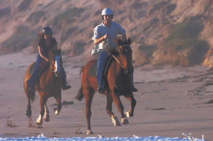 Horse Riding in Mornington