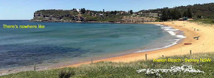 avalon beach sydney nsw