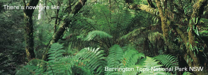 Australia National Parks and Barrington Tops