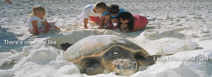 Lady Elliot Island