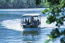 The Daintree National Park. Queensland