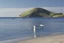 Fleurieu Peninsula Beaches - South Australia