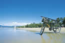 Four Mile Beach - Port Douglas. Queensland