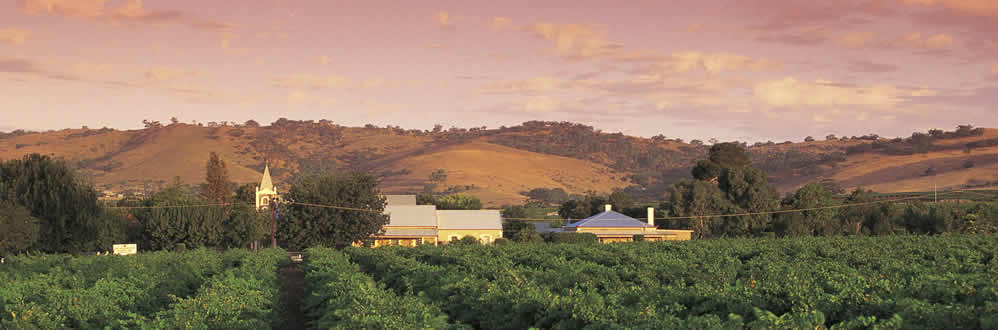 Barossa Valley - SA