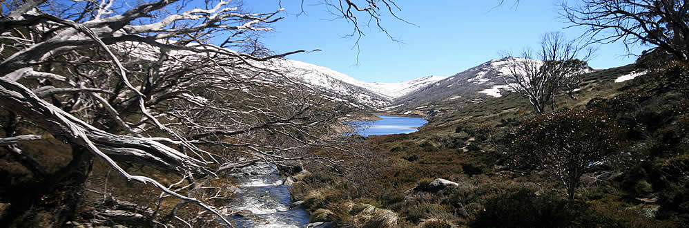 Snowy Mountains NSW