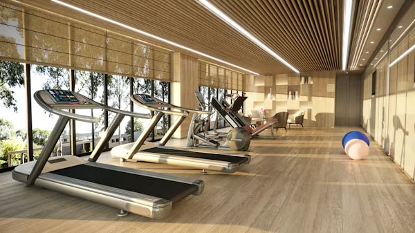 Fitness Spaces