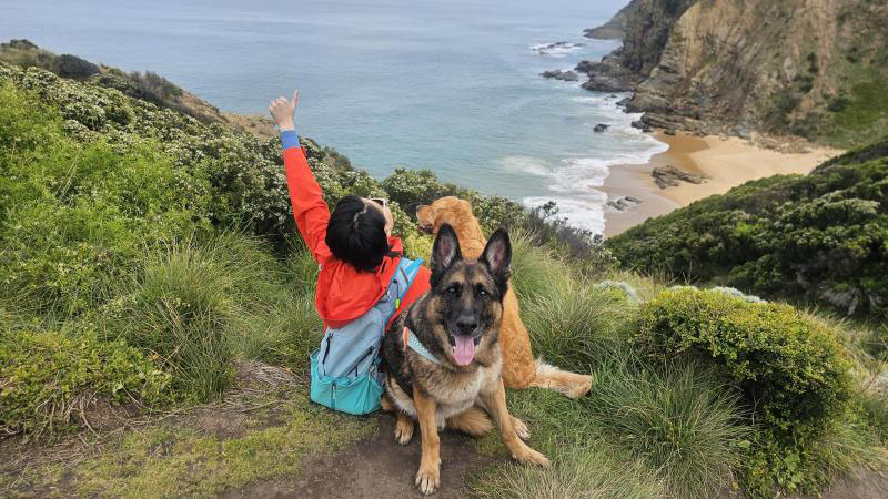 Dogs are great