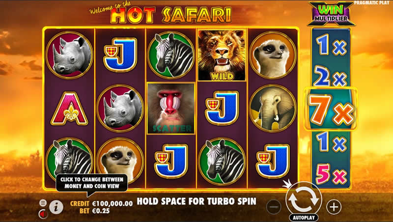 Hot Safari