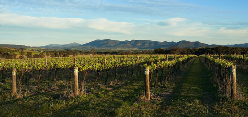 Hunter Valley Wineries