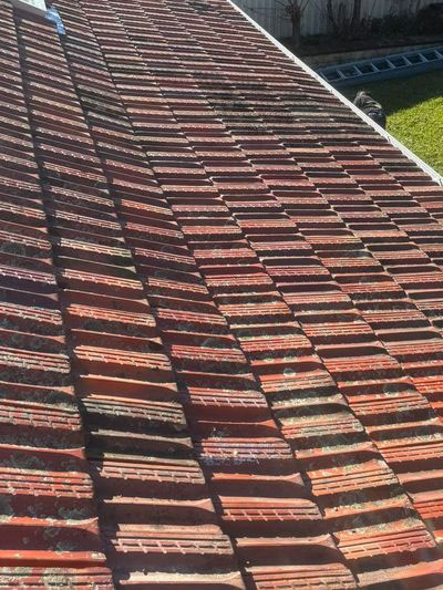 Tile Roof Restoration