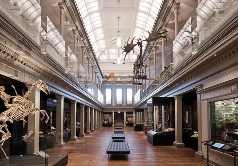 Australia Museum