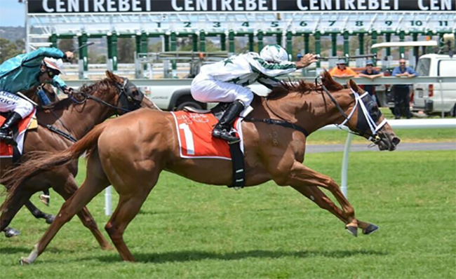 Horse Racing in Australia