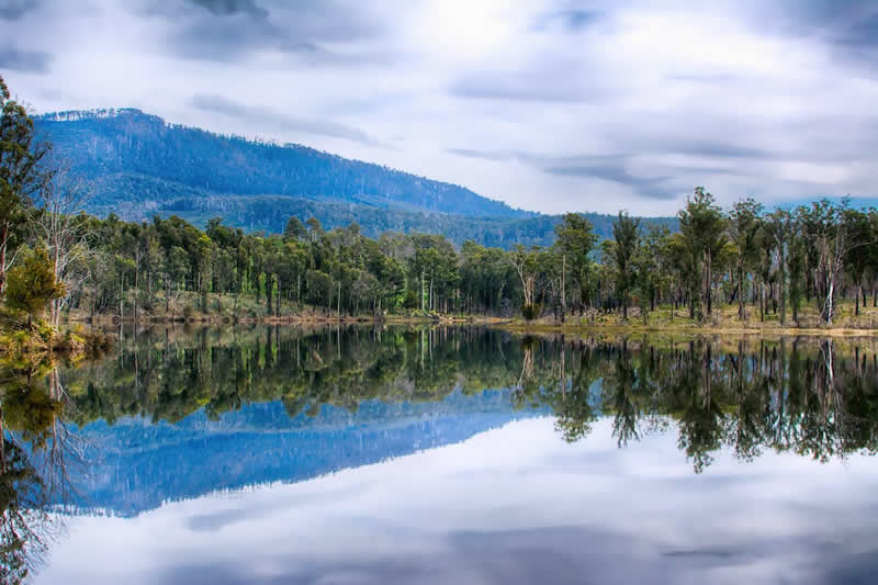 Tasmania