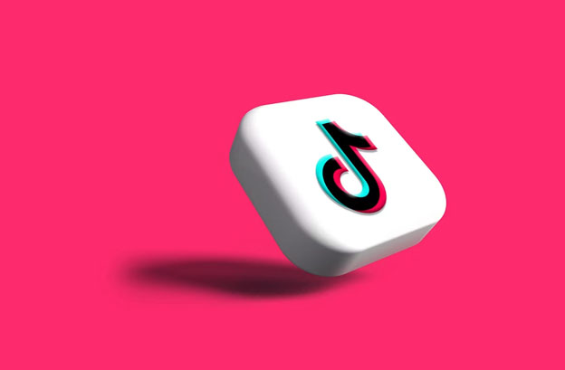Tik Tok & Instagram