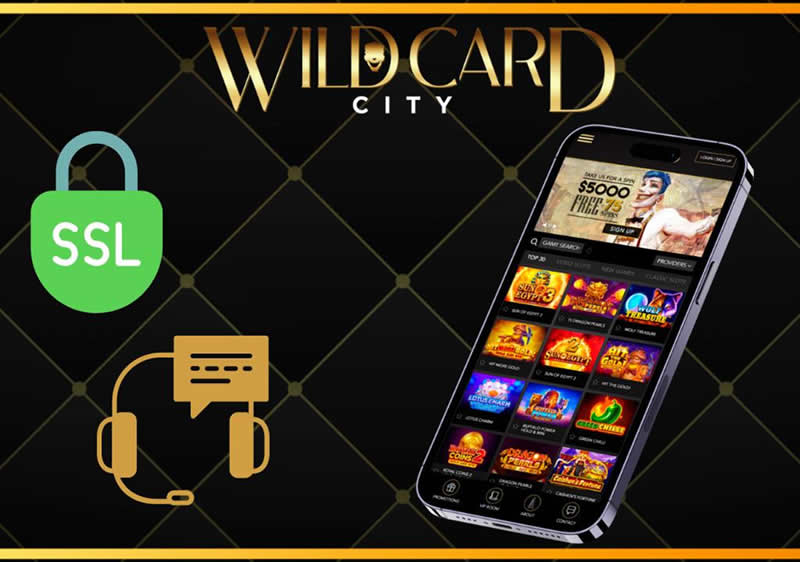 Wild Card City Casino Security
