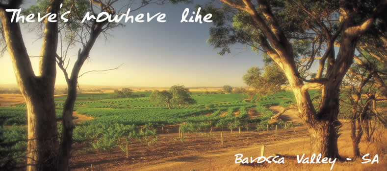 Barossa Valley, South Australia.  Australia