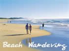 walk the beach of coolum