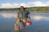 Cape York Peninsula. Queensland