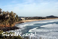 surf coolum