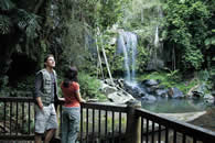 The Daintree National Park. Queensland Australia