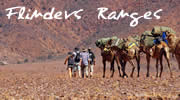 Flinders Ranges South Australia