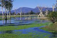 The Grampians National Park. Victoria Australia