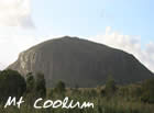 mtcoolum