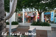  Hastings Street Noosa Heads