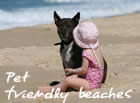 pet and children friendly beaches