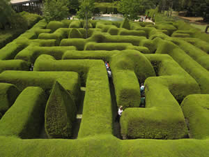 Maze